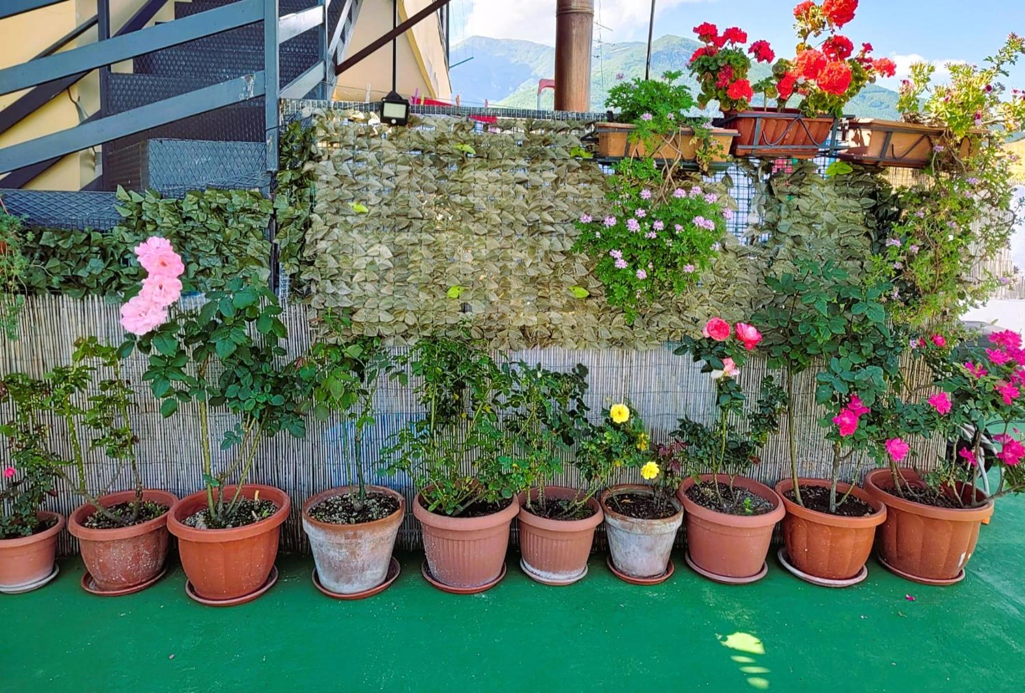 산테지디오델몬테알비노 Palazzo Di Donna Panoramic Terraces And Private Parking Strategic To Amalfi Coast, Pompei, Napoli 빌라 외부 사진